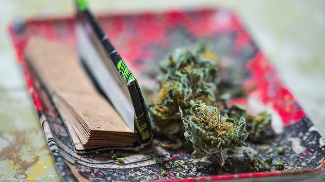 Doobtray.com is For Sale!